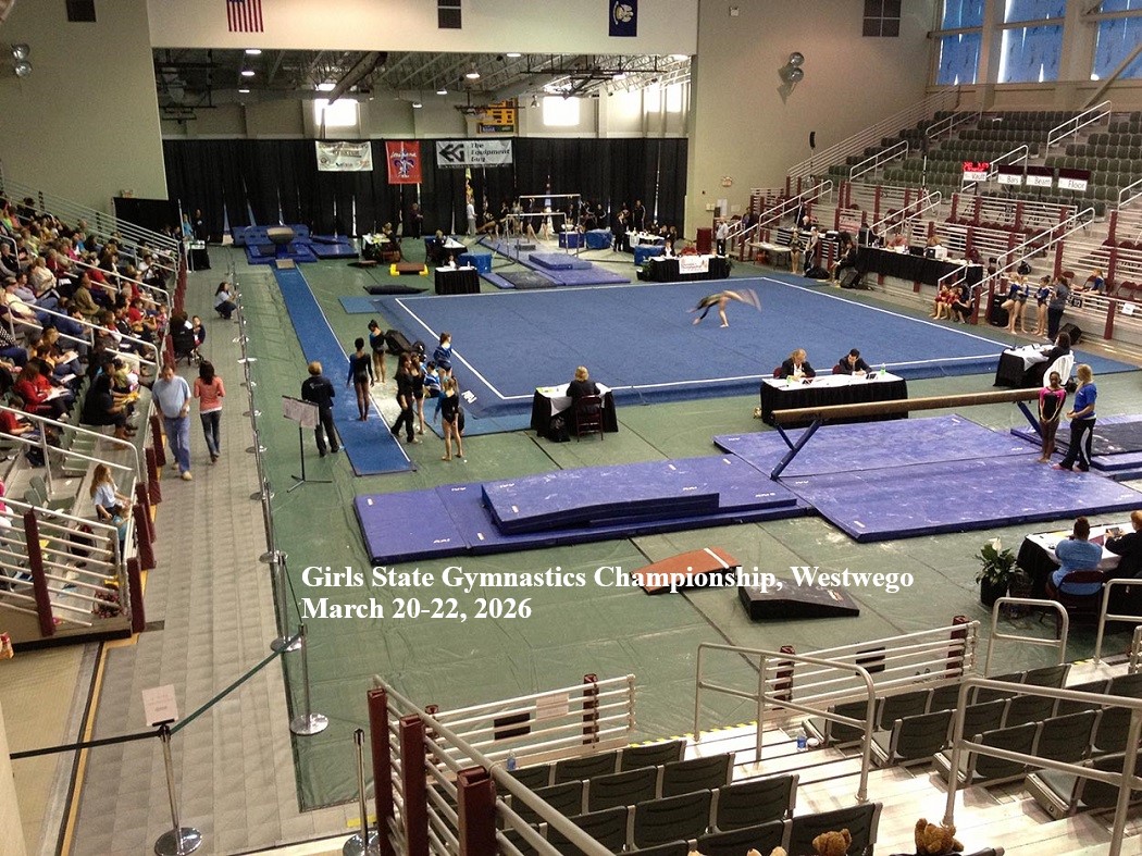 Girls State Gymnastics Promotion